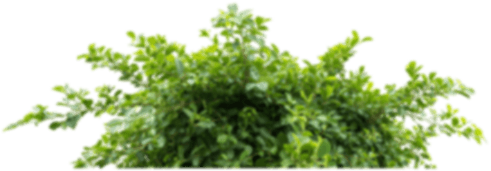 Design Project Background Right