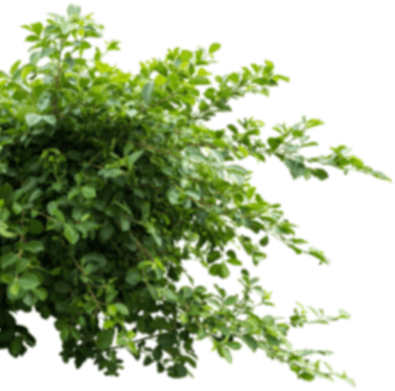 Design Project Background Left