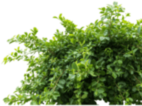 Design Project Background Right